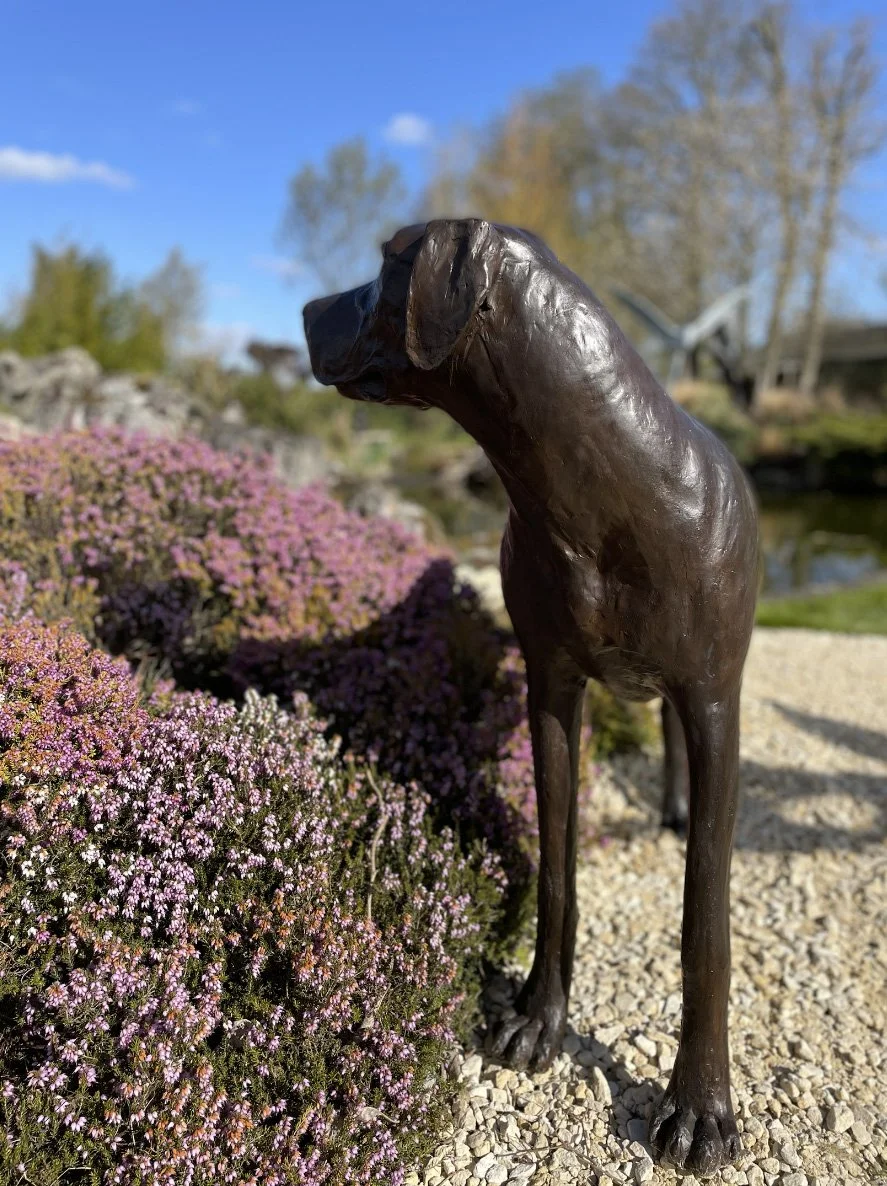 bronze-sculpture-great-dane-dog-02.jpeg