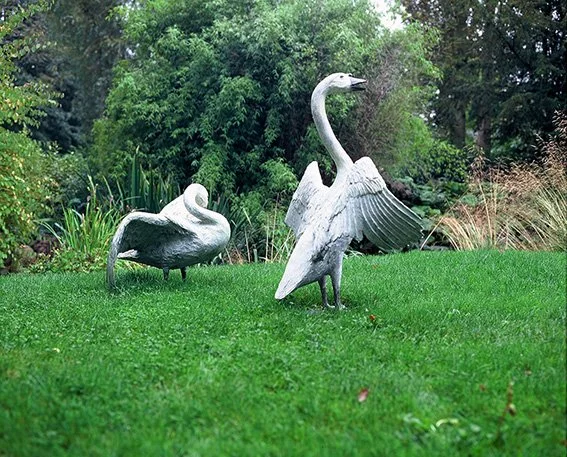 LLB 165 163 Swans Pair 001_LR.jpg