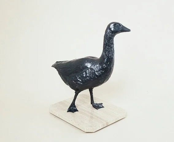 LLB 087 Goose Strutting_LR.jpg