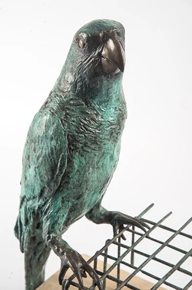 LLB 125 Parrot 001_JM_LR.jpg