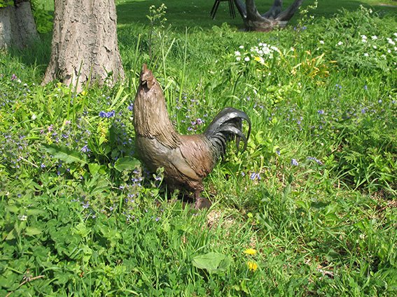 LLB 428 Rooster II Saxby 02_LR.jpg