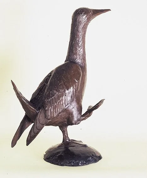 LLB 215 Booby Bird Studio 2_LR.jpg