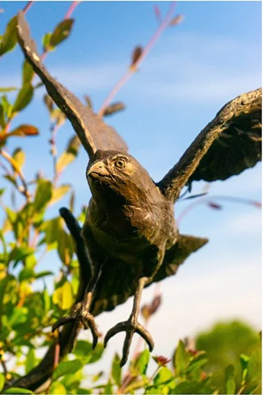 LLB 444 Sparrow Hawk 001_FY25_LR.jpg