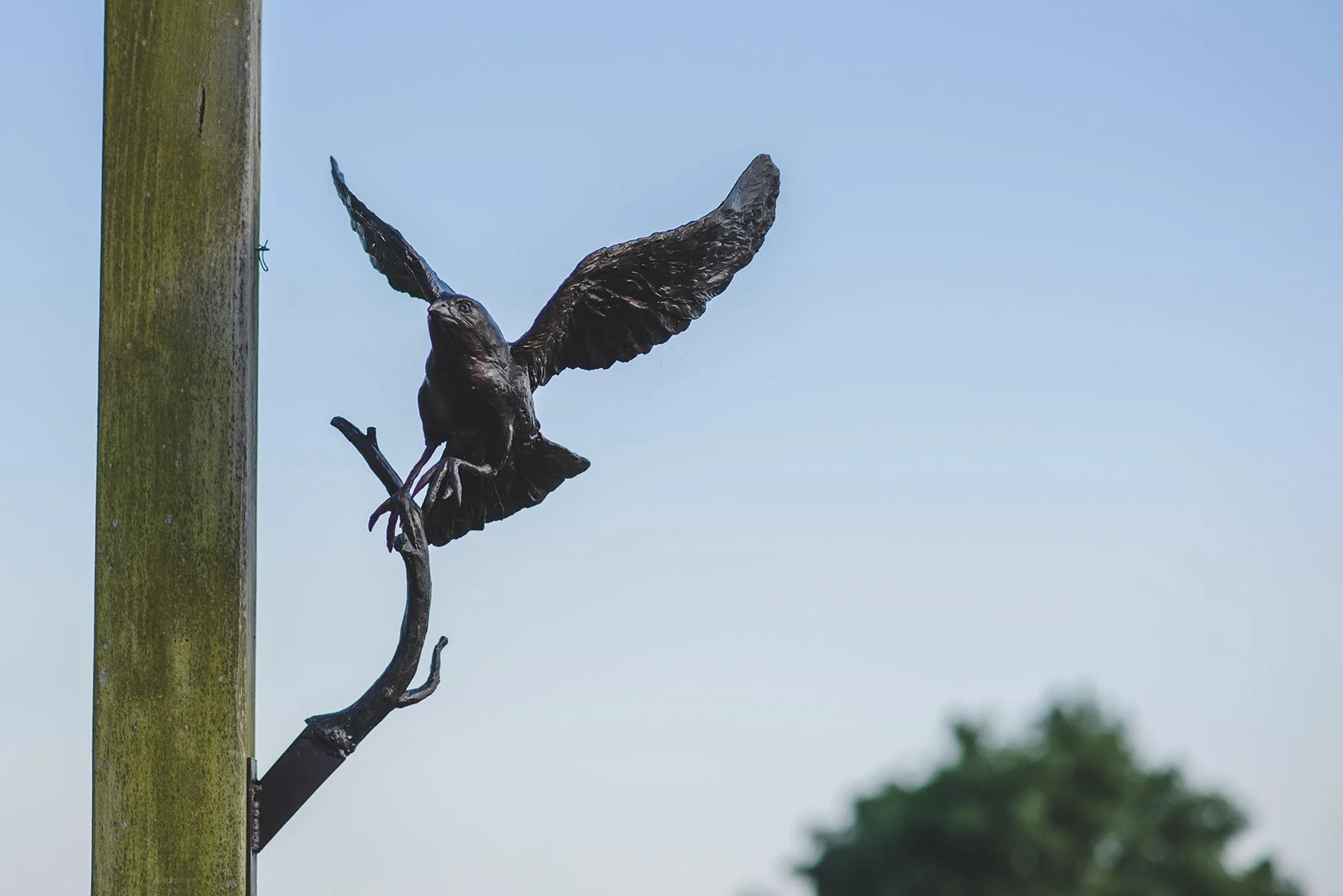 sparrow-hawk-bronze-sculpture-v01.jpg