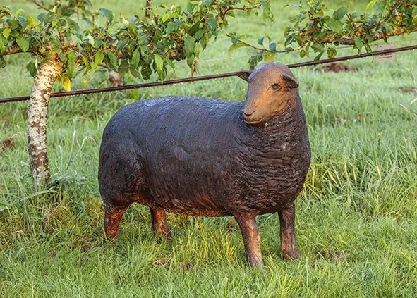 LLB 554 581 Sheep Pair  QS 005_CN24_LR.jpg