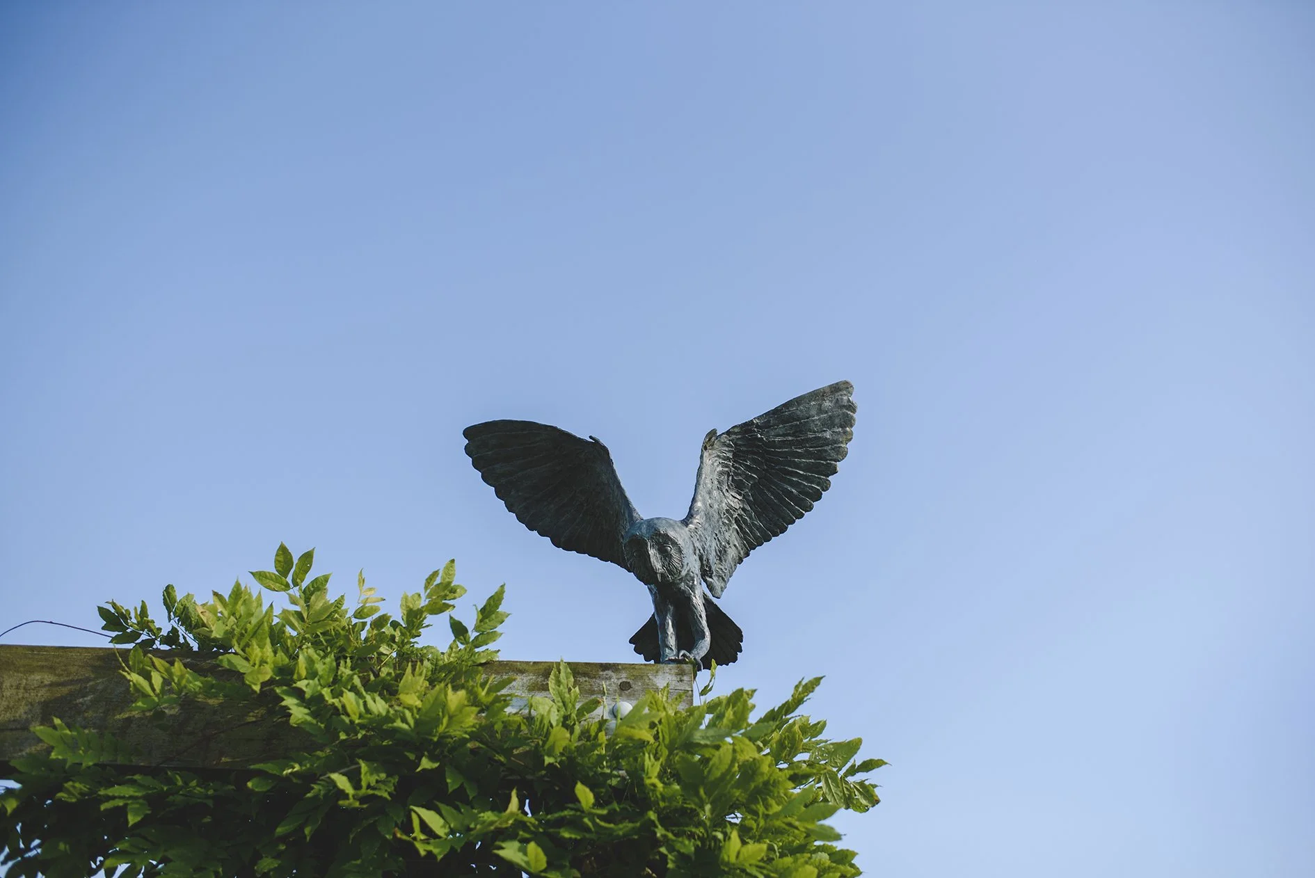 Barn Owl Landing Sculpture by Lloyd Le Blanc.jpg