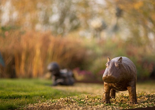 LLB 530 Hippo 02_LR.jpg