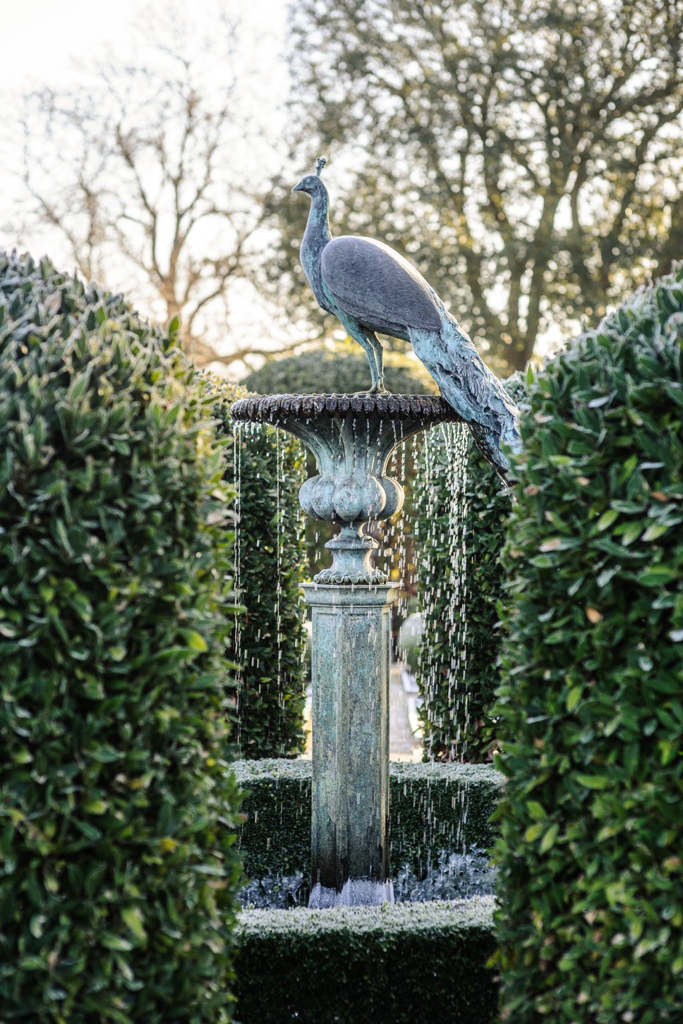 LLB 073  Peacock Fountain QS 003_12.jpg