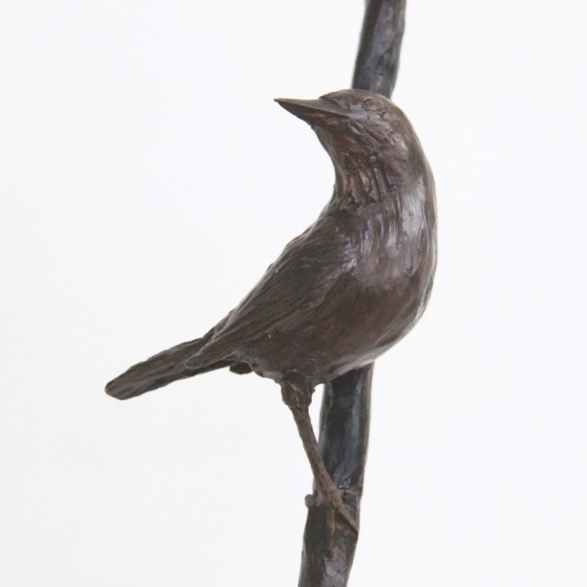 arctic-song-bird-bronze-sculpture-v01.jpg