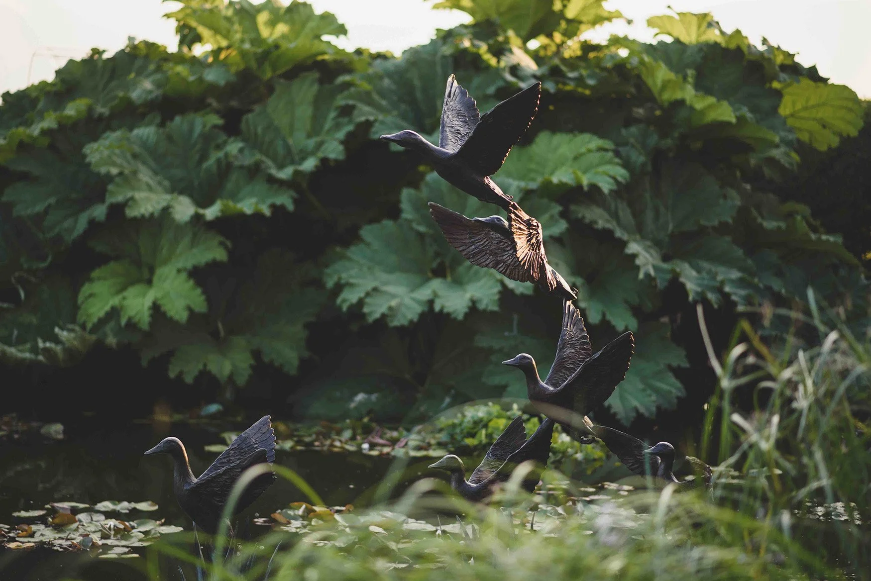 Mallard Ducks Taking Flight - 5 Birds large bronze sculpture water feature
