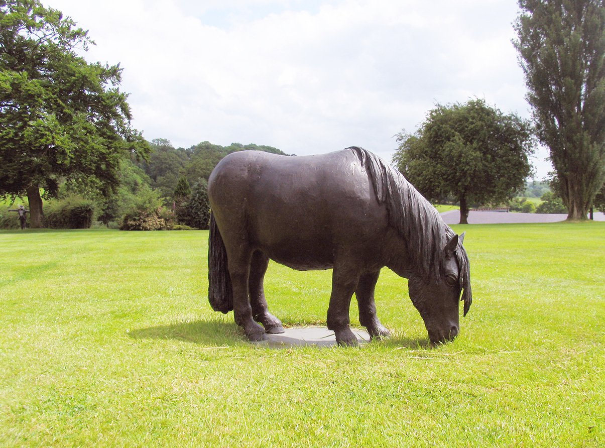 LLB 093 Shetland Pony 01_LR.jpg
