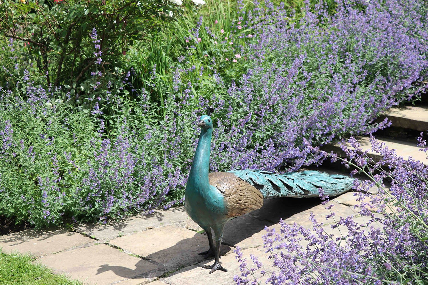 peacock-walking-bronze-sculpture-v01.jpg