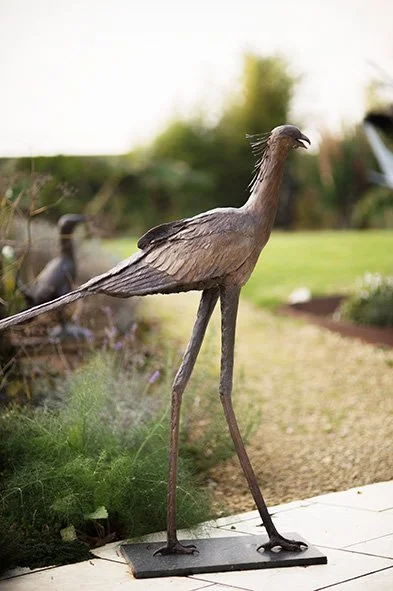 LLB 532 Secretarybird Saxby 001_JM_LR.jpg