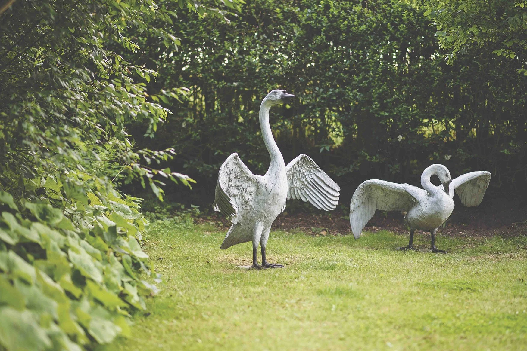swans-on-guard-and-preening-bronze-sculpture.jpg