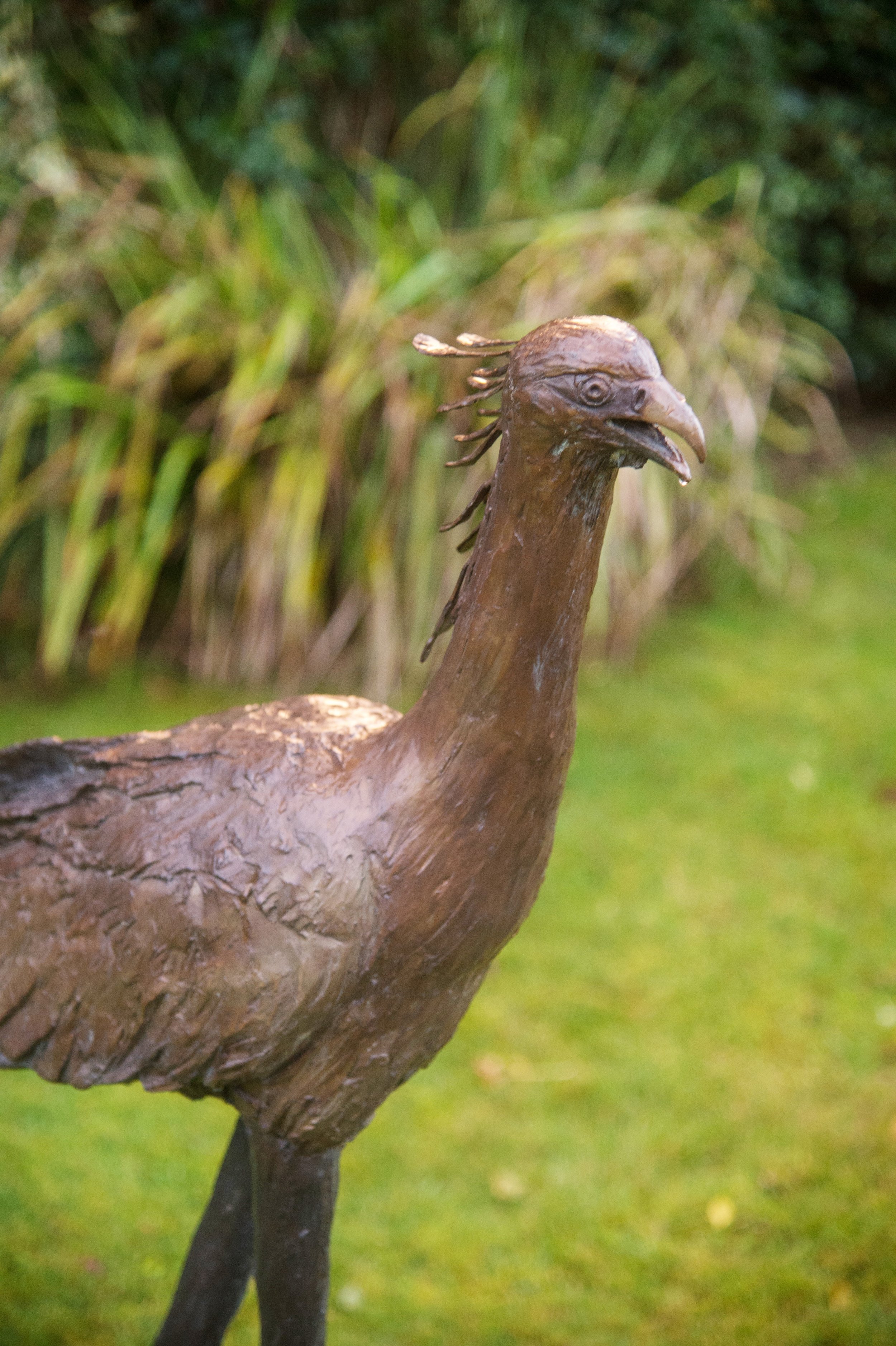 LLB 532 Secretarybird Saxby 002_JM_LR.jpg