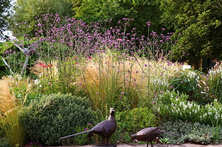 LLB Pheasant Pair 002_LR.jpg