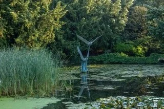 le-manoir-sculpture-swans.jpeg