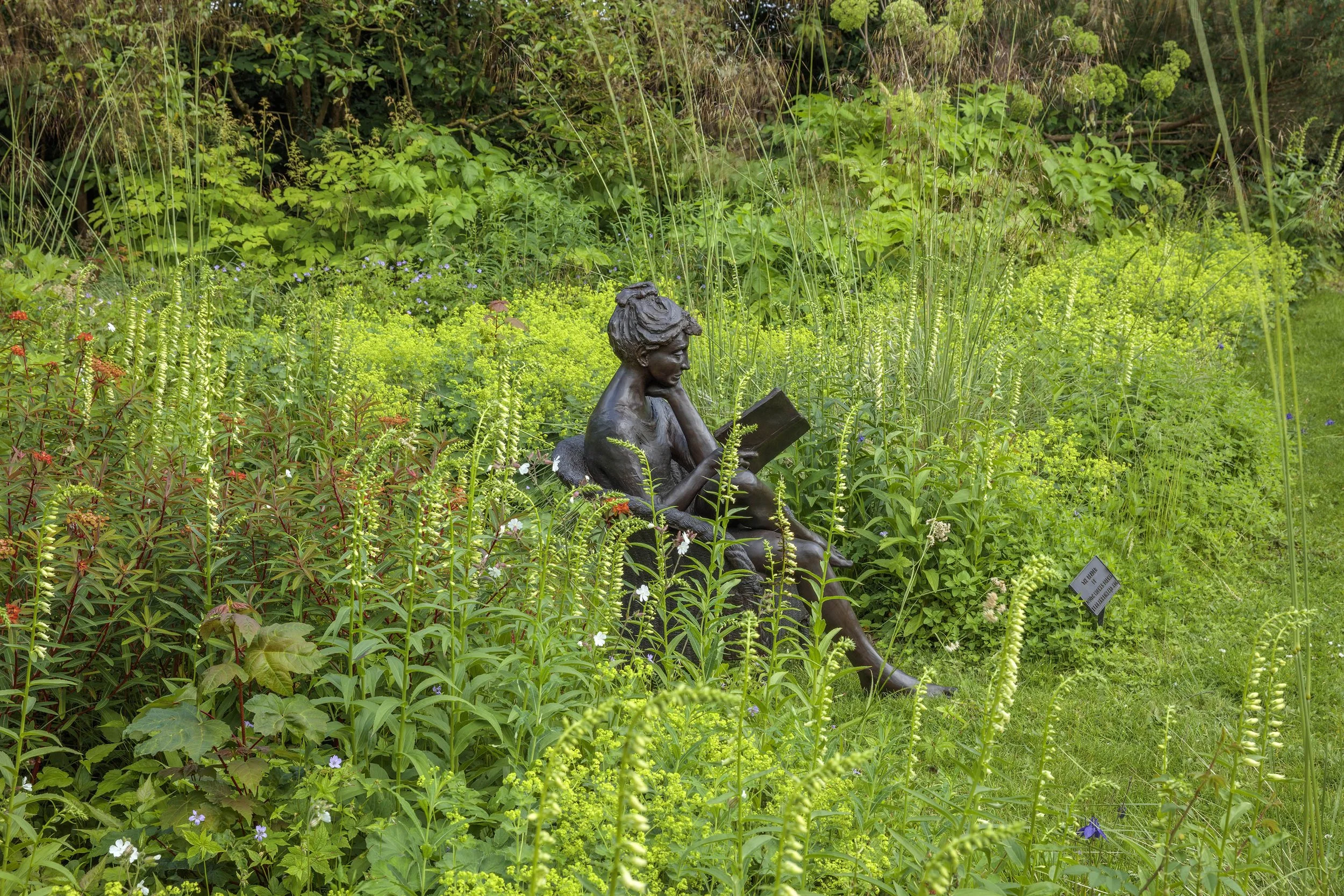 JHD 231 Reader QS 001_CN24_LR.jpg