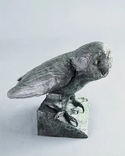 LLB 123 Tawny Owl 02_LR.jpg