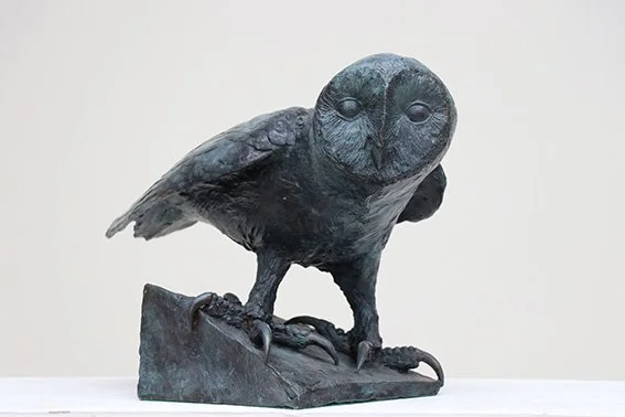 LLB 123 Tawny Owl 01_LR.jpg