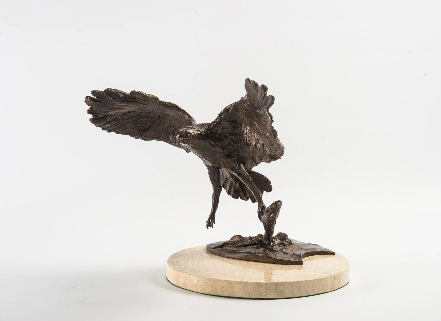 osprey-study-bronze-sculpture-v01.jpg