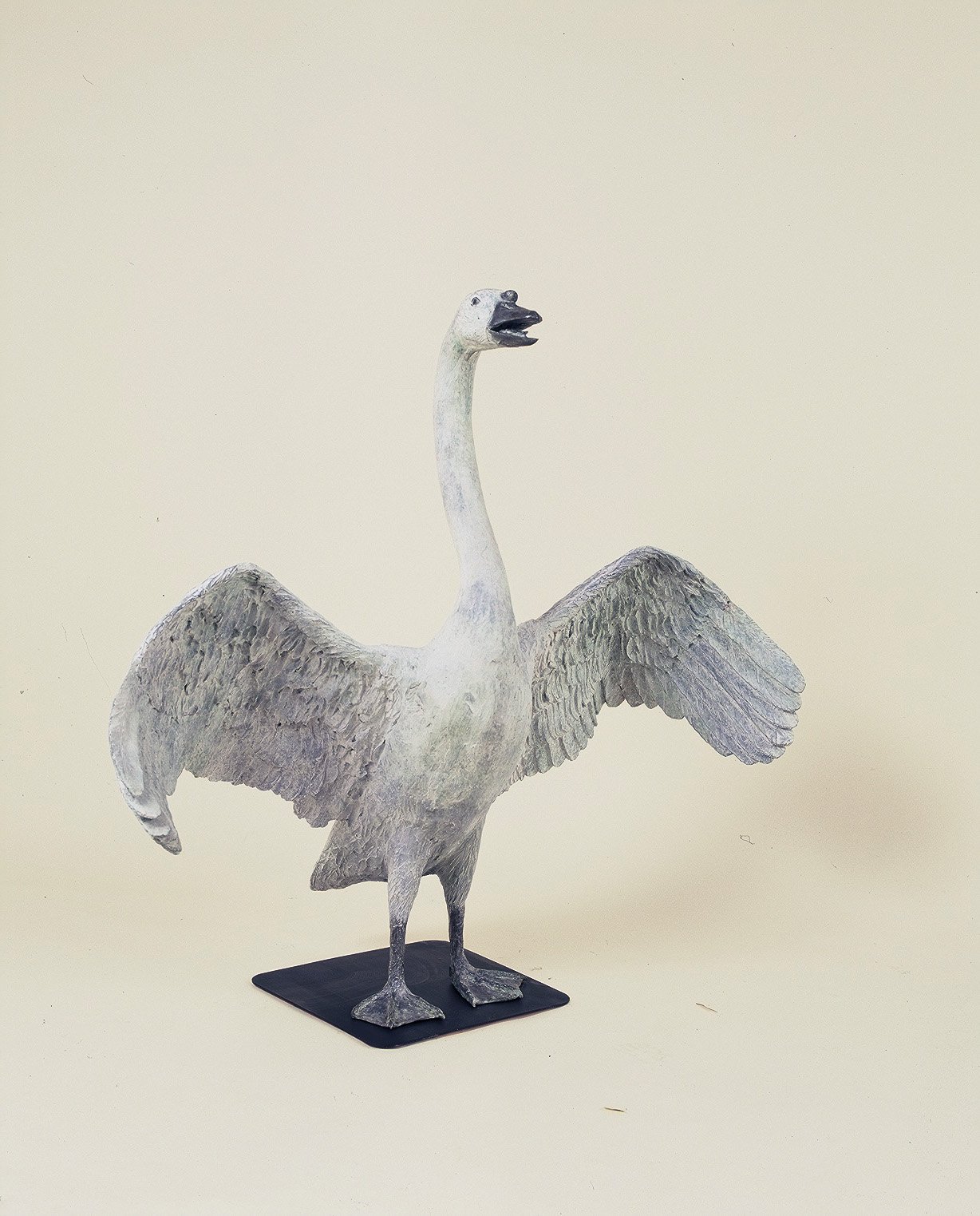 165 Swan on Grard_LR.jpg