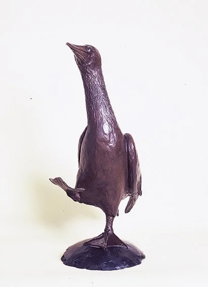 LLB 215 Booby Bird Studio 1_LR.jpg