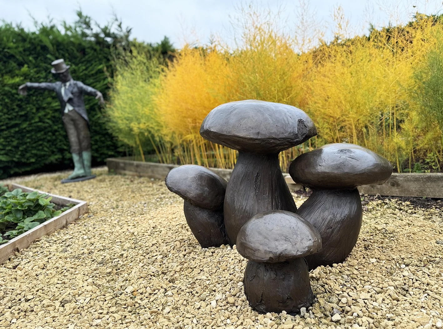 LLB 464 4 Mushrooms 01_LR.jpg