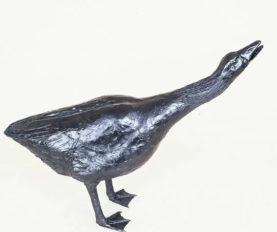 LLB 085 Goose Guarding_LR..jpg