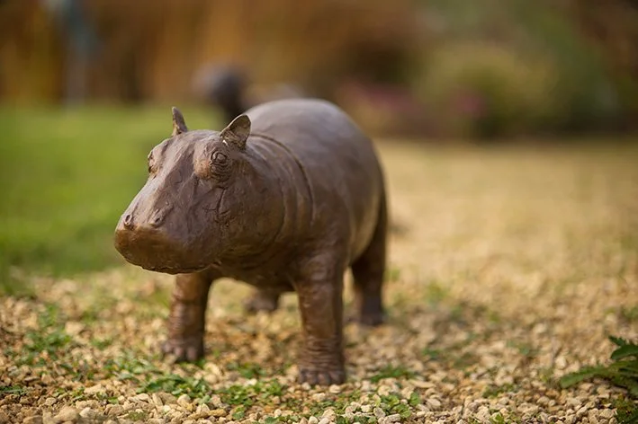 LLB 530 Hippo_LR.jpg