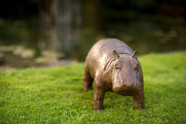 LLB 530 Hippo 05_LR.jpg