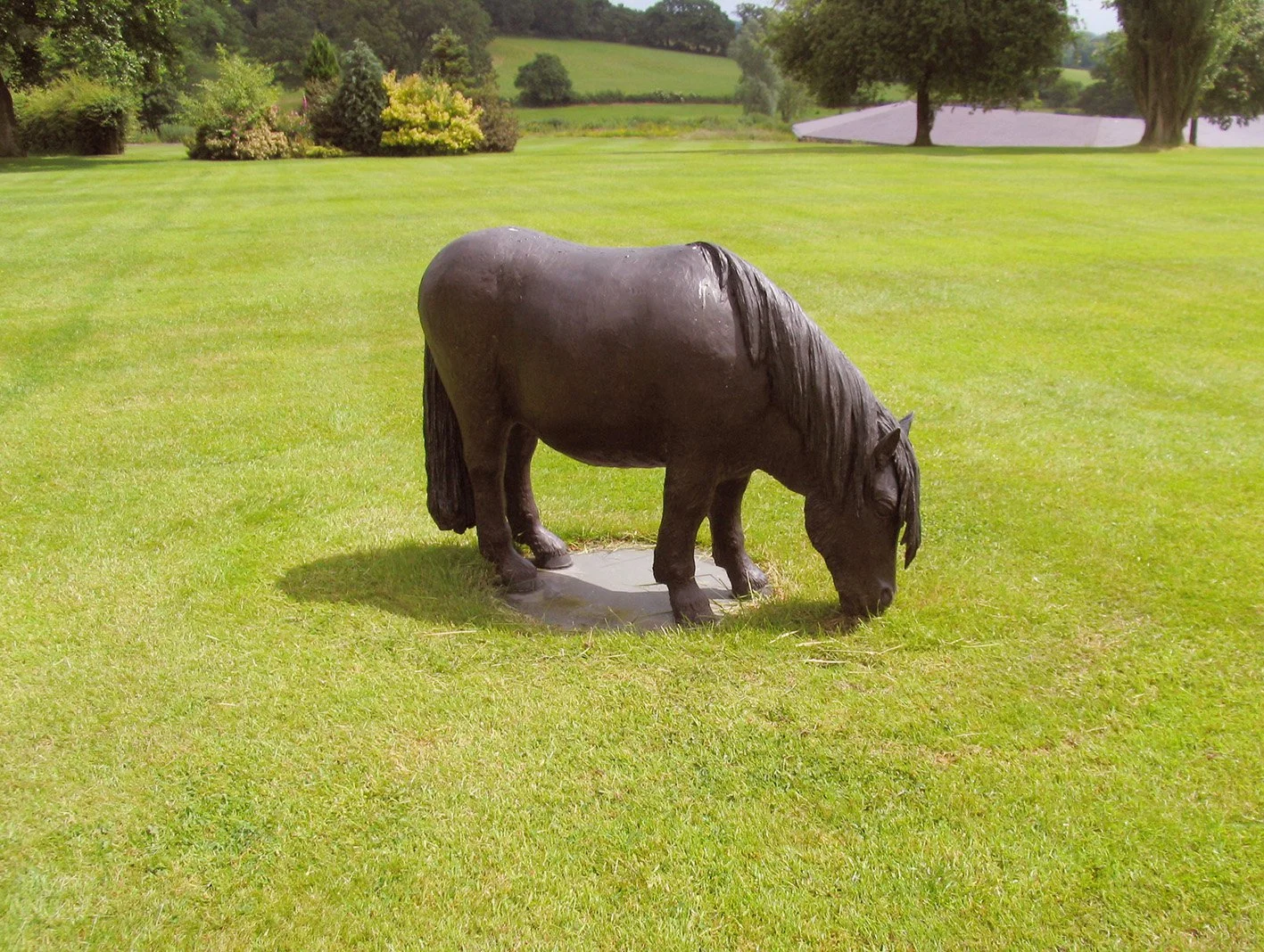 LLB 097 Shetland Pony 02_LR.jpg