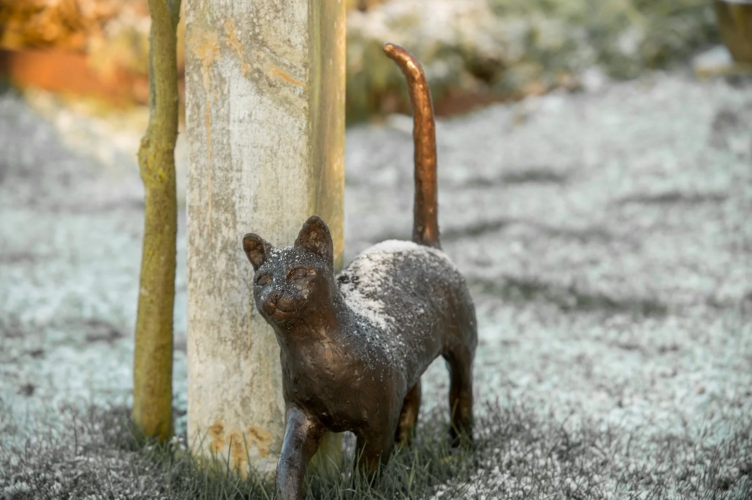 Life size bronze sculpture of a cat in frosty garden