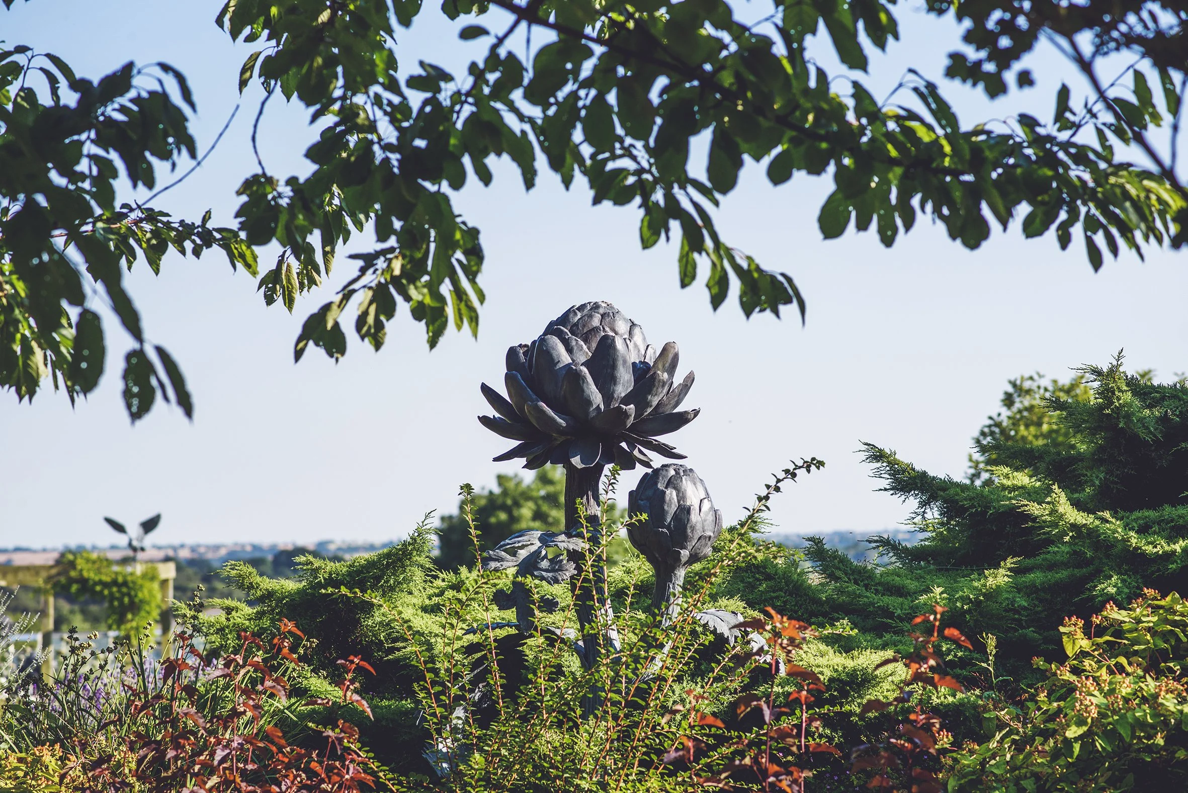 439 Artichoke V 02_RP16_LR.jpg