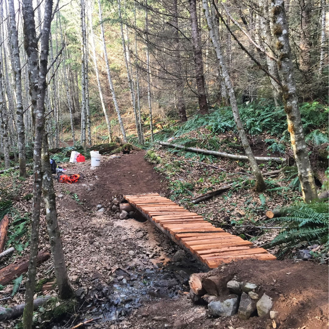 squamish mountain bike bridge.png