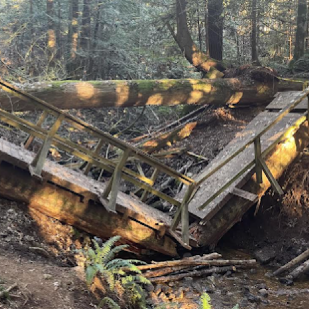 failed bridge squamish bike trail.png