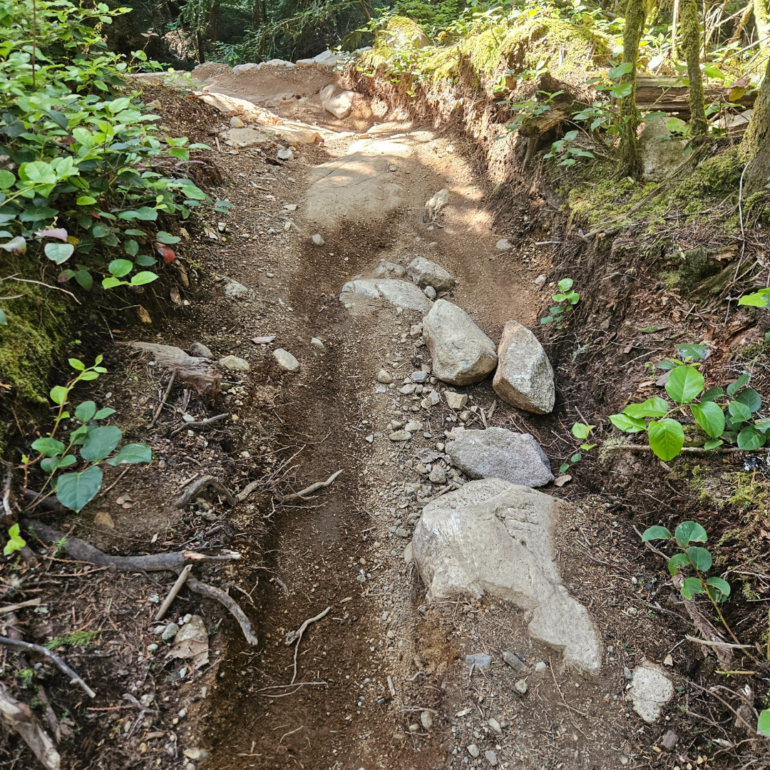 trail erosion in squamish.png
