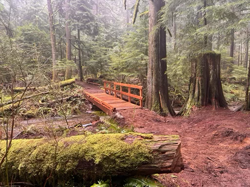 IMG_20260318_163823 (1).png