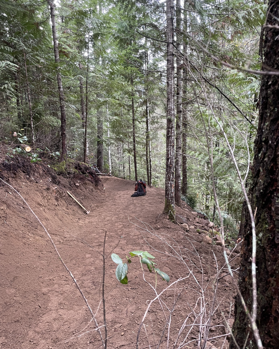 OneUp DH SM Posts - Molly.png