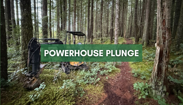The Powerhouse Plunge