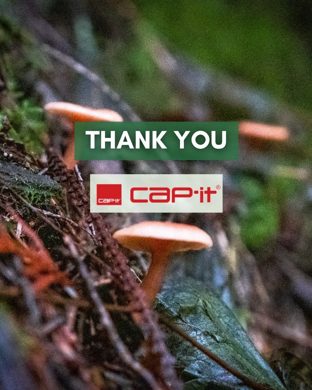Thank you to Green Circle sponsor, Cap-It Squamish! Along with their sponsorship this year, their team also co-hosted an awesome summer social for our community! Their involvement both on and off the trails helps keep our community vibrant and our ne