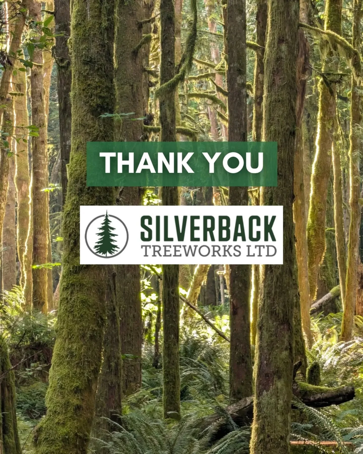 Thank you, Black Diamond Sponsor, @silverbacktreeworks, for all of your support on the trails! Their involvement plays a huge part in keeping our trails maintained and safe, from supporting trail crew operations, helping deal with danger trees around