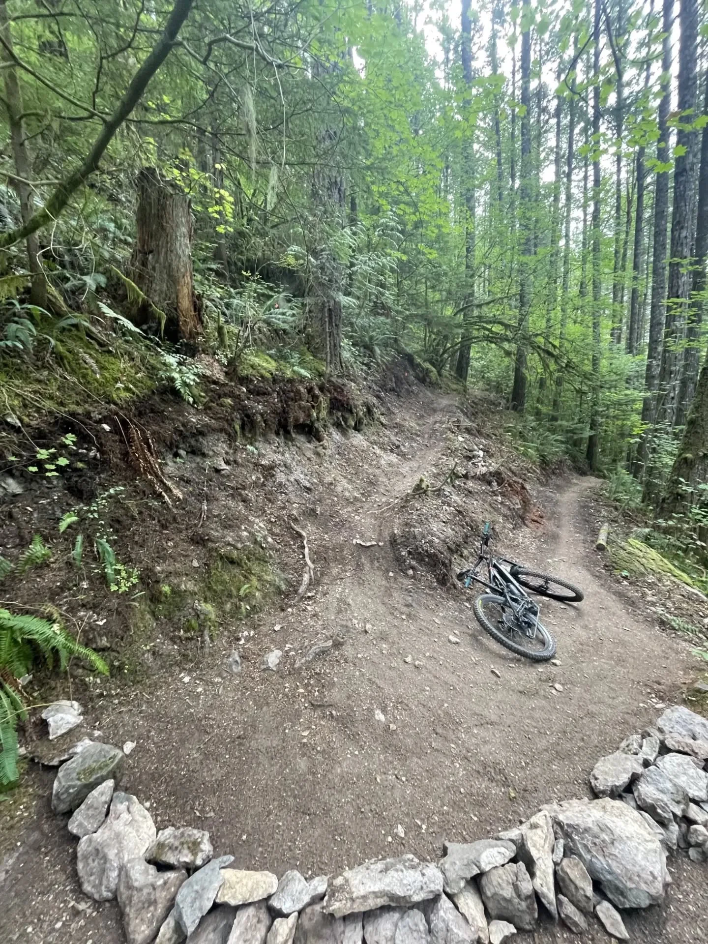 Trails Update:

Fall brings a busy mix of seasonal wrap-ups and winter prep across Squamish. Here's what's happening out on the trails right now:

Skookum Climb: SORCA&rsquo;s trail crew has replaced one of the longer bridges along the climb as the e
