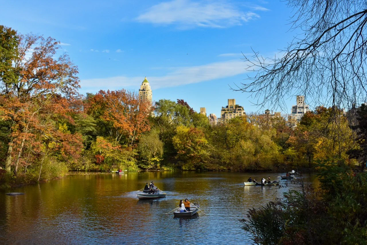  The Lake at Central Park- You can rent rowboats and paddle boats in the summer-fall from Loeb Boathouse! 
