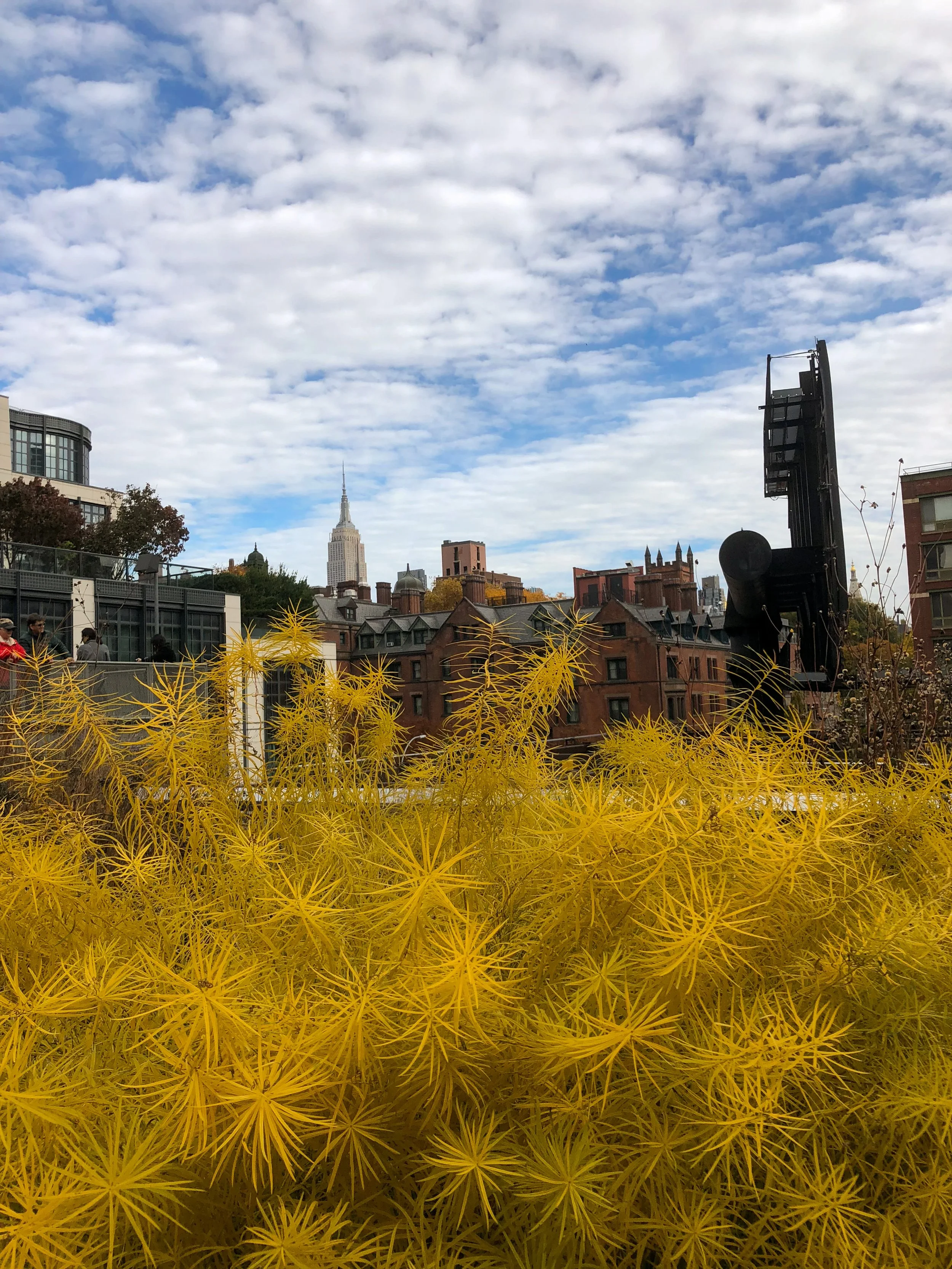  View walking along the High Line 