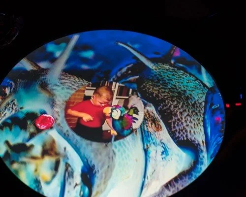 Detail shot of 'Working Table IV' including 'Organic Control' showing as part of 'Are We All Addicts Now?' at Furtherfield (2017).  Photo by Pau Ros.