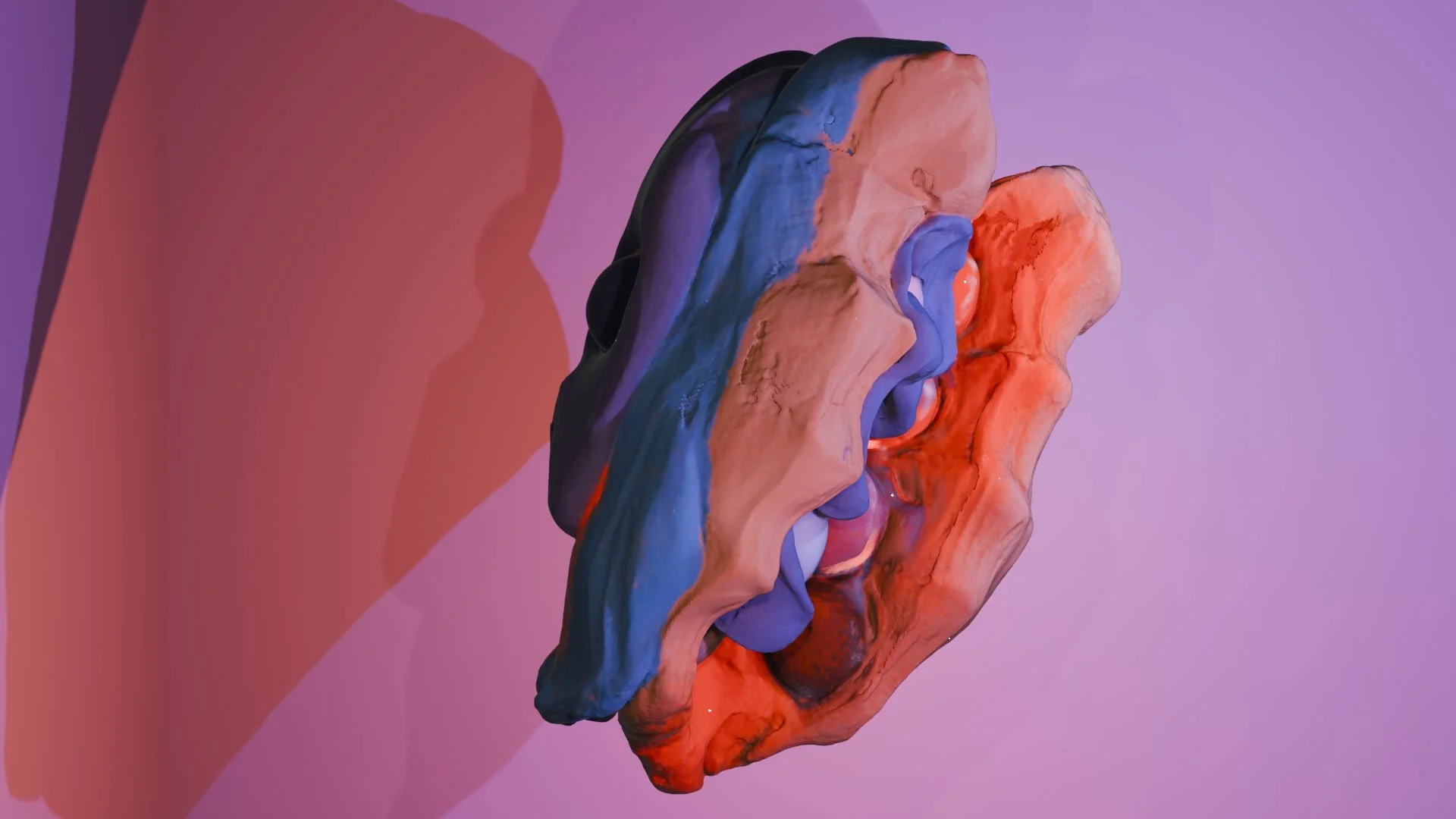 HOLD-RELEASE (2024) Katriona Beales