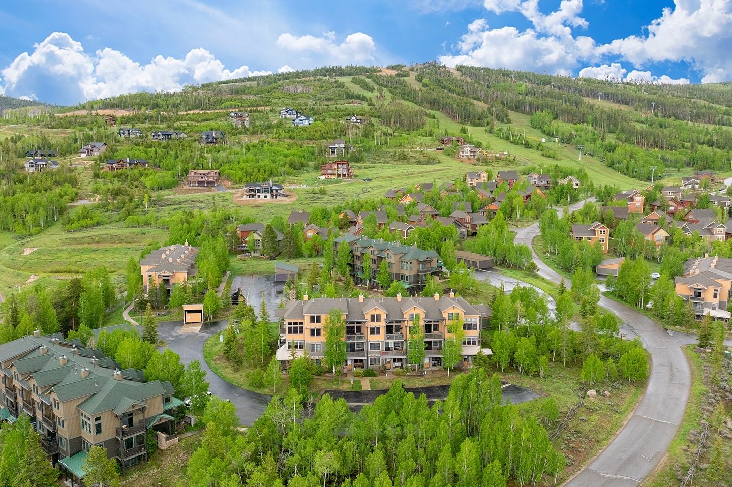 There&rsquo;s something magical about Grand County in June&hellip;everything is so green from the snowmelt and wildflowers are aplenty! 

#colorado #coloradolife #coloradogram #coloradoliving #coloradowildflowers #granby #granbycolorado #granbyranch 