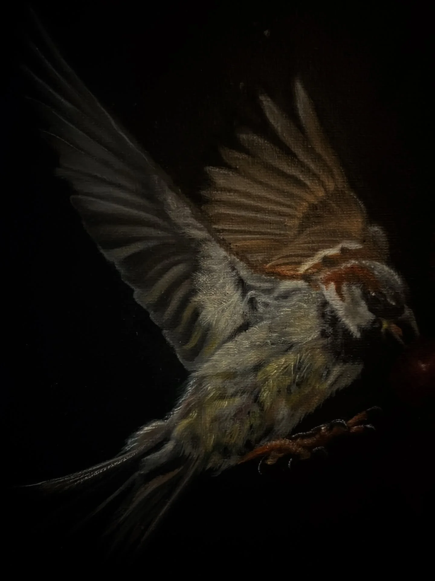 What is a bird if you don&rsquo;t confess souls?
 
On wings, floats a dream
A dream, sails in need
The baby heart beats
In hope, plant a seed&hellip;

Our hearts are not whole, but we can convince ourselves our current state is &lsquo;all&rsquo; - bu