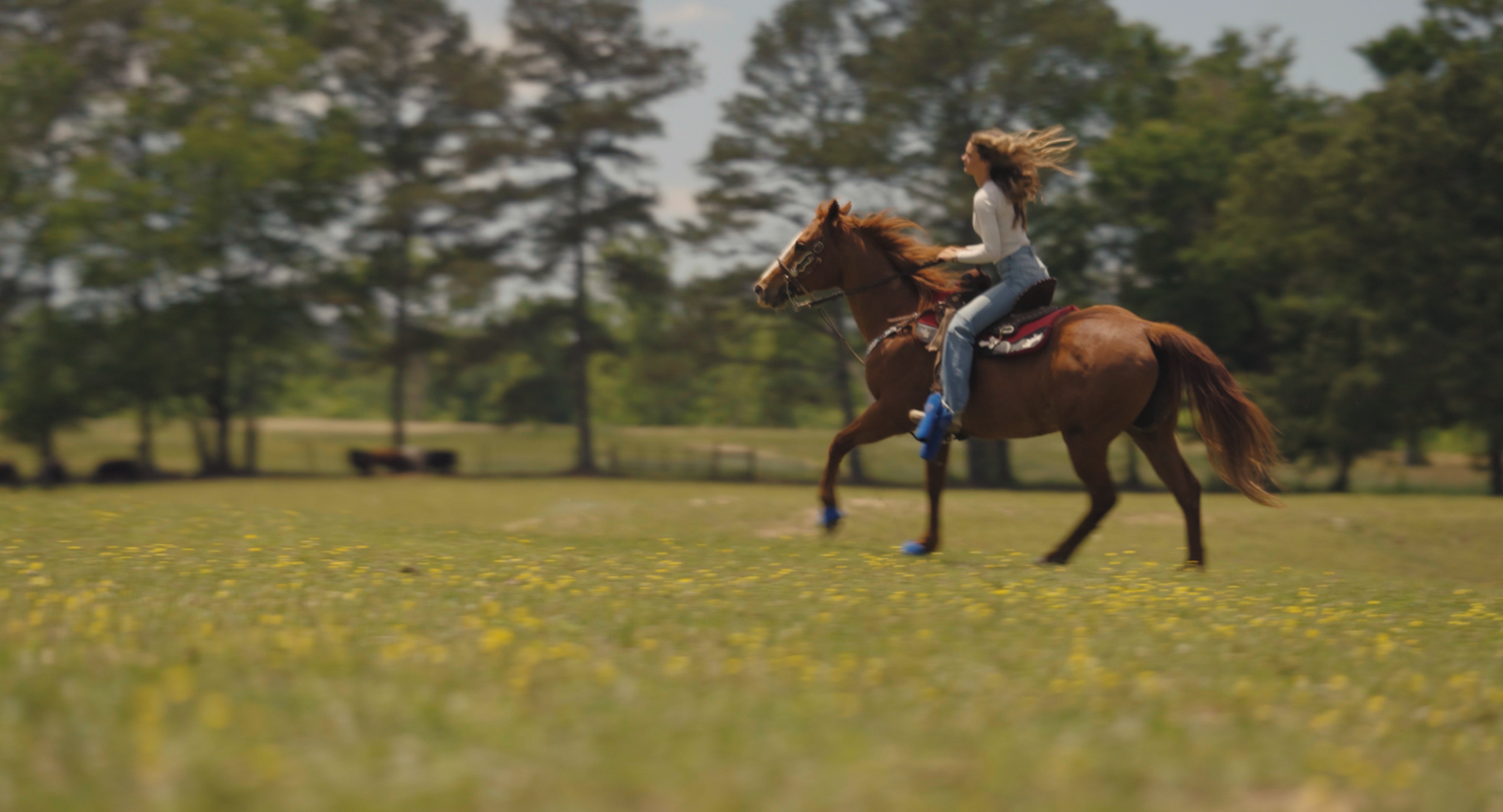 Short Doc. - Barrel Racer Comeback 